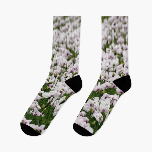 Item preview, large field of pale poppy. designed and sold by sandyprints.
