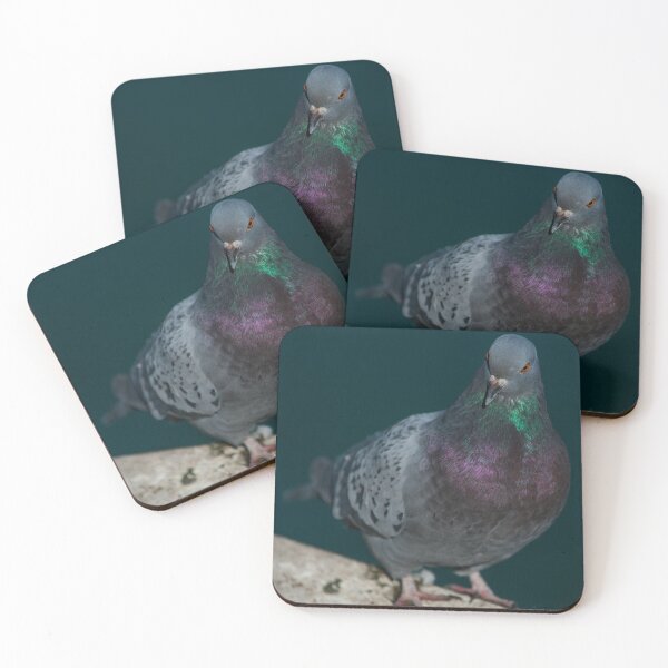 Item preview, Pigeon designed and sold by StevenElliot.
