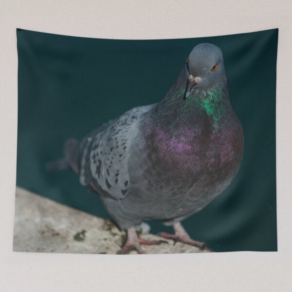 Item preview, Pigeon designed and sold by StevenElliot.