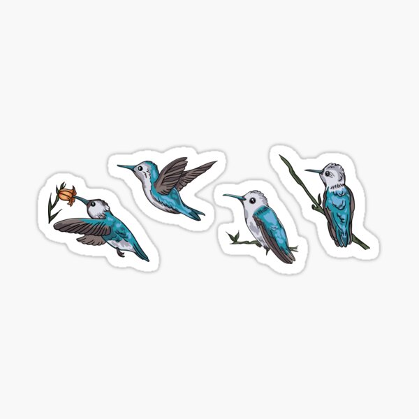 Cute hummingbird bird set Sticker