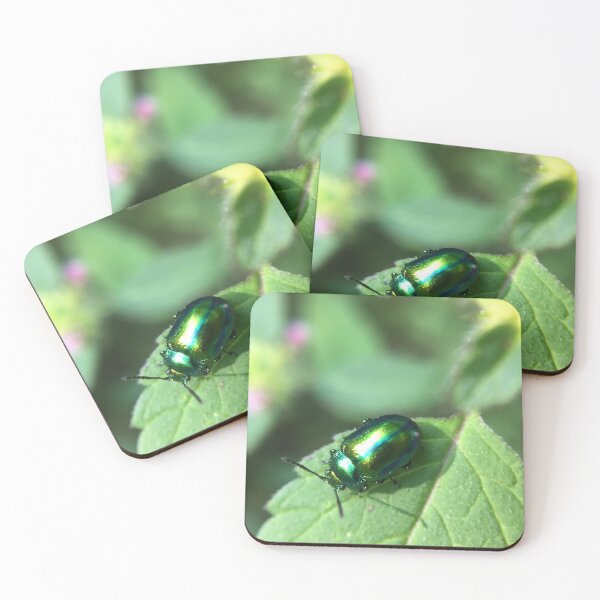 Item preview, Beetle green leaf close up nature photography designed and sold by RAbeille.