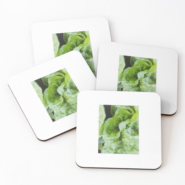 Item preview, Lettuce wet designed and sold by Libby A.