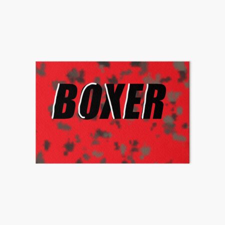 Stray Kids Boxer Art Board Print