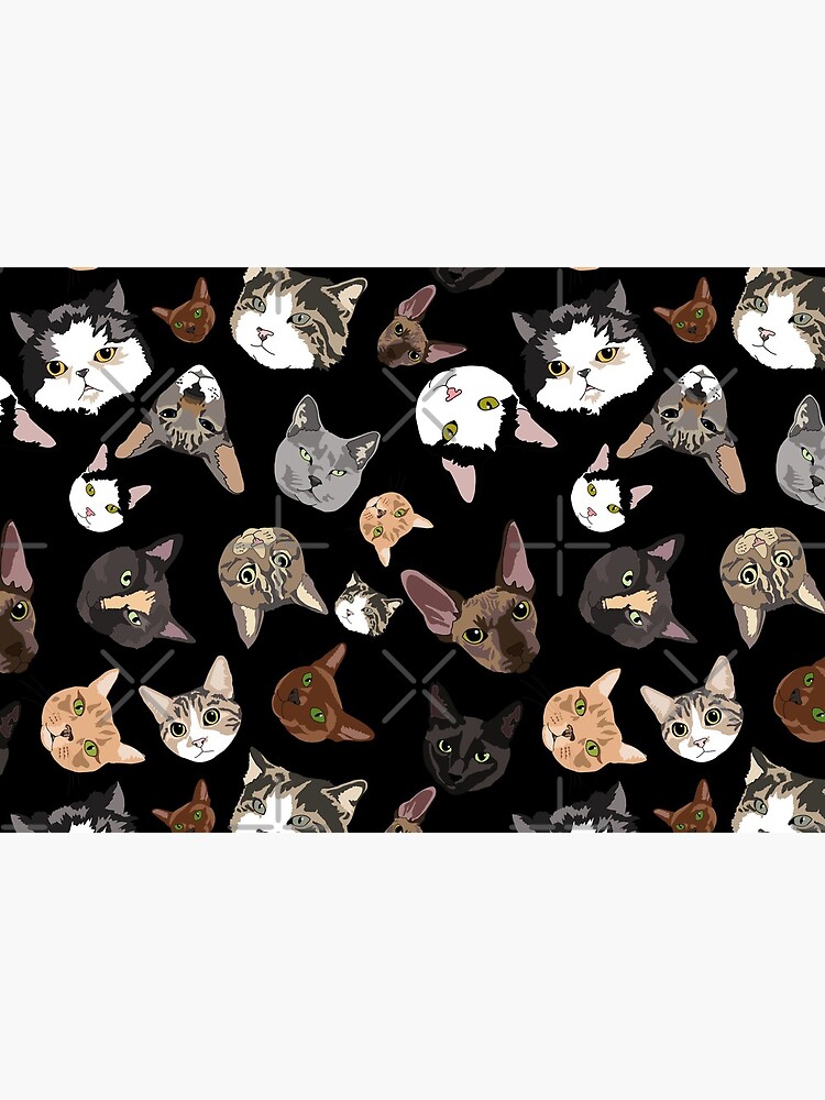 Moggy Mania by emilydevineart