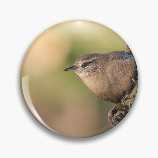 Item preview, Eurasian Wren designed and sold by Gbenonys Art.