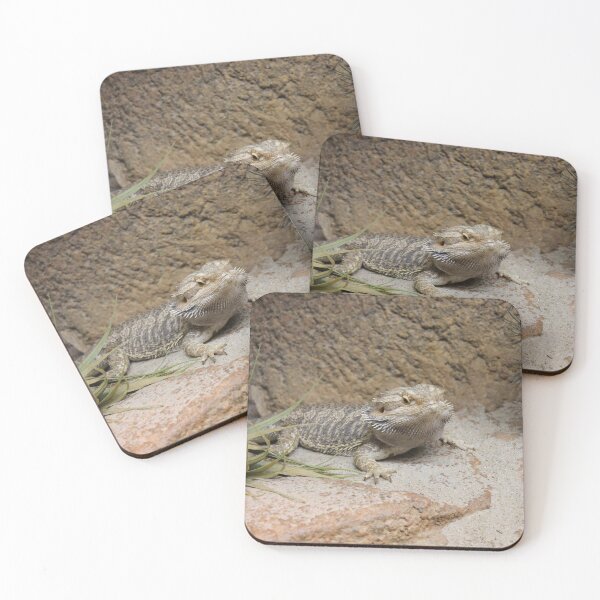 Item preview, Bargame Pogona designed and sold by Alex-Creare.
