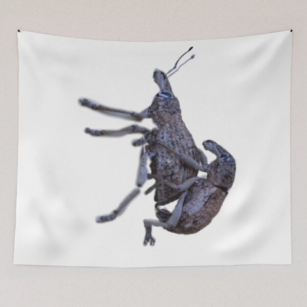 Item preview, Weevil mating. designed and sold by Mickpew.