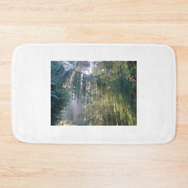 Item preview, Brewer's Weeping Spruce - the New Forest designed and sold by Sally J Hunter.