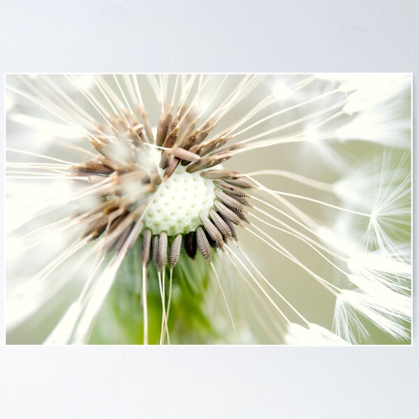 Item preview, Dandelion 13 designed and sold by Falko-Follert.