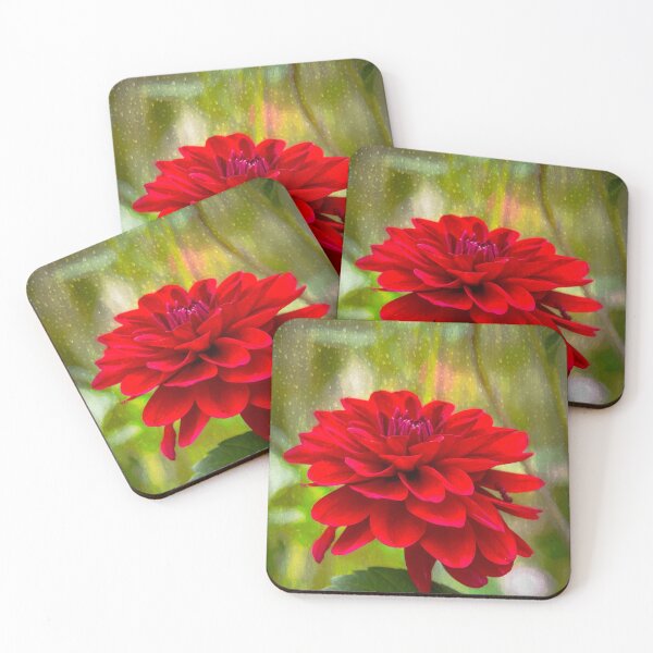 Item preview, Red Dahlia in the Rain designed and sold by Viv Thompson Photography .