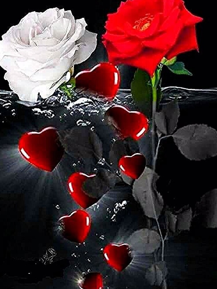 Emerging Heart and Rose by alim0355