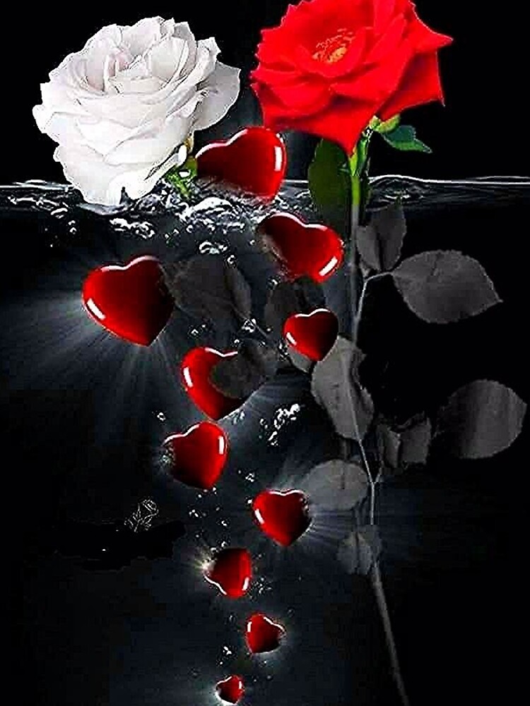 Emerging Heart and Rose by alim0355