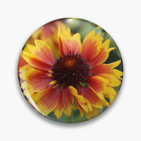 Item preview, Gaillardia Granada designed and sold by Sally J Hunter.