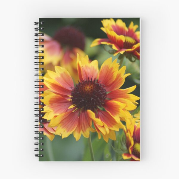 Item preview, Gaillardia Granada designed and sold by Sally J Hunter.