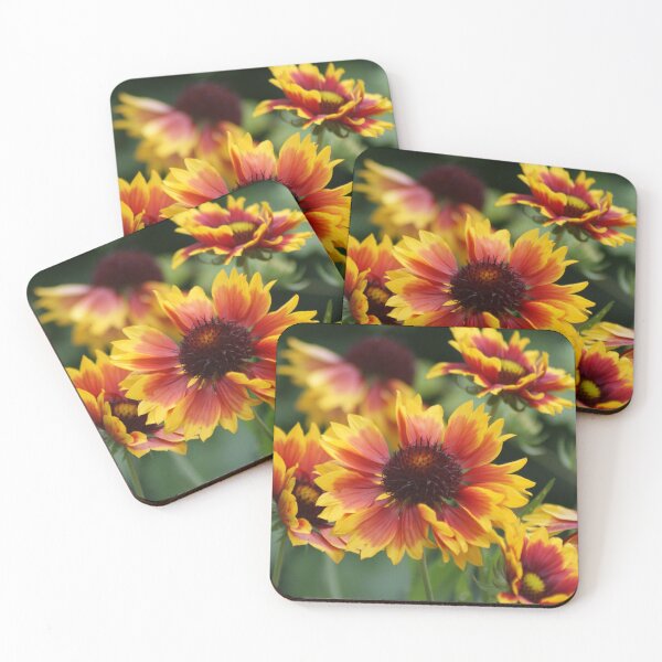 Item preview, Gaillardia Granada designed and sold by Sally J Hunter.