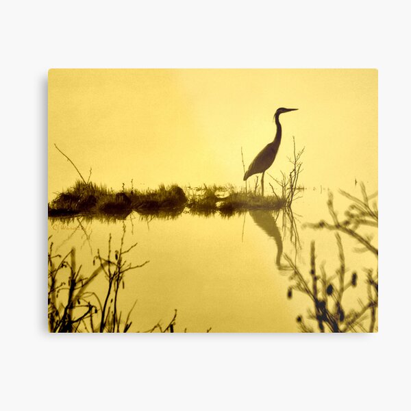 On Golden Pond Metal Print