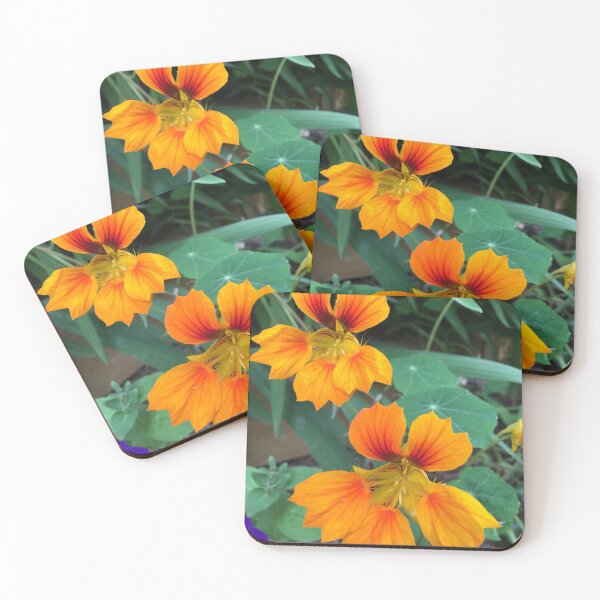 Item preview, Nasturtiums designed and sold by Sally J Hunter.