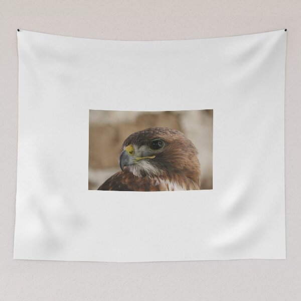 Item preview, Eagle eye designed and sold by Nicholas Averre.