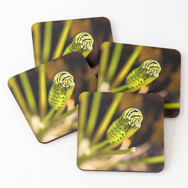 Item preview, Black Swallowtail Butterfly Caterpillar  designed and sold by Kay Brewer.