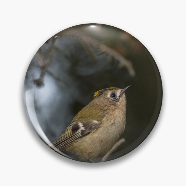 Item preview, Goldcrest designed and sold by Gbenonys Art.