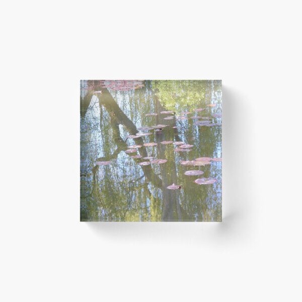 Aperçu de l'œuvre France: Les nénuphars de Monet à Giverny créée et vendue par genuinefrance.