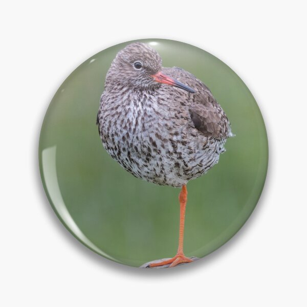 Item preview, Common redshank designed and sold by Gbenonys Art.