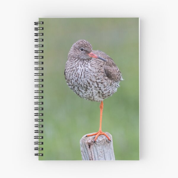 Item preview, Common redshank designed and sold by Gbenonys Art.