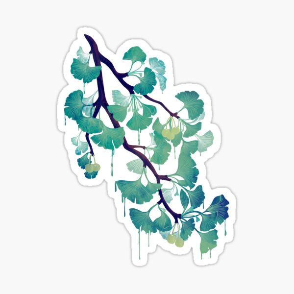 O Ginkgo (on Black) Sticker
