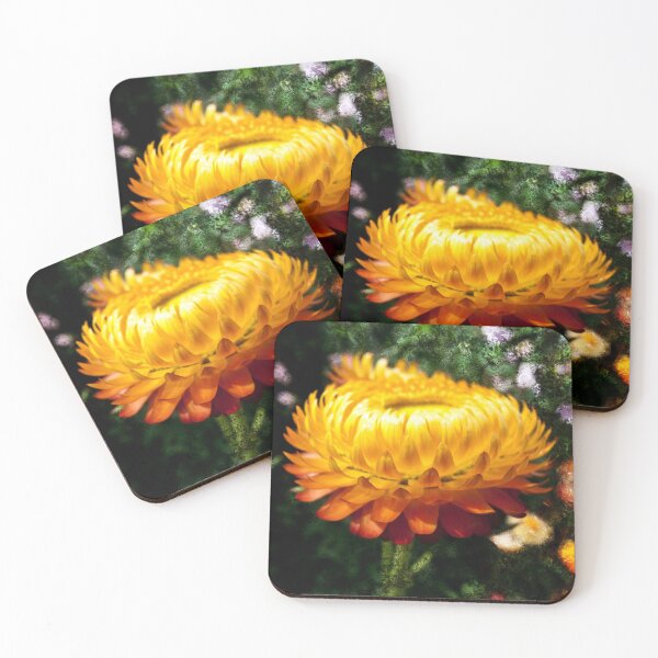 Item preview, Xerochrysum bracteatum, Flower with added texture designed and sold by Robert Gipson.