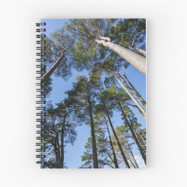 Item preview, Tall Trees and Blue Sky designed and sold by heidipics.