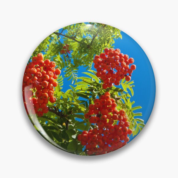 Item preview,   Rowan tree  with red berries designed and sold by Robert Gipson.