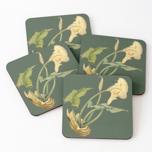 Item preview, Easter Lily In Shell Beaches And Funerals Symbolic Art designed and sold by taiche.