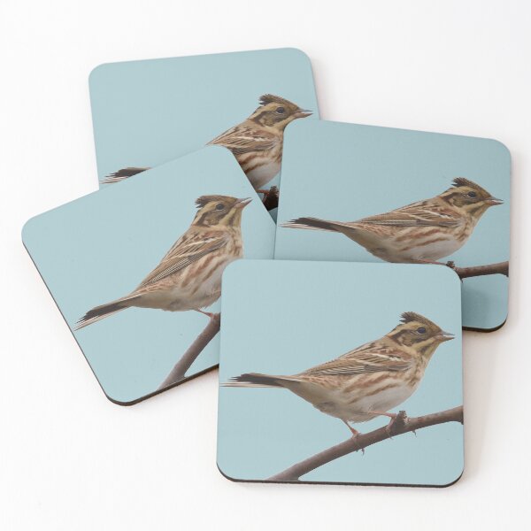 Item preview, Rustic Bunting Bird Vector Isolated designed and sold by taiche.
