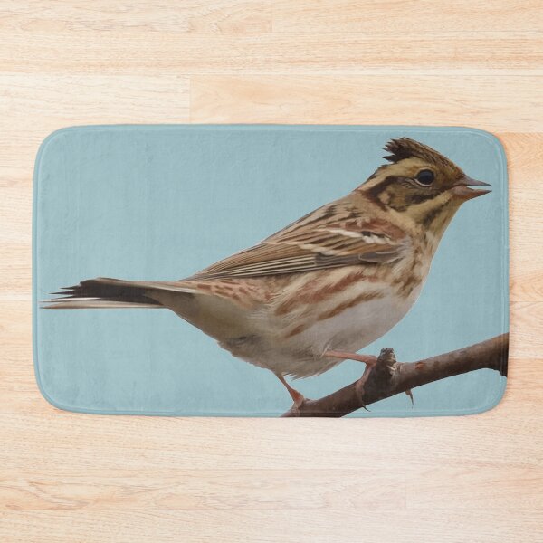 Item preview, Rustic Bunting Bird Vector Isolated designed and sold by taiche.