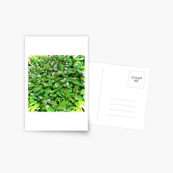 Item preview, Wild garlic field designed and sold by Einohrkater.