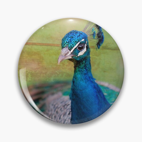 Item preview, Peacocks and Responsibilities  designed and sold by FOLK ART FUSION by heidiannemorris.