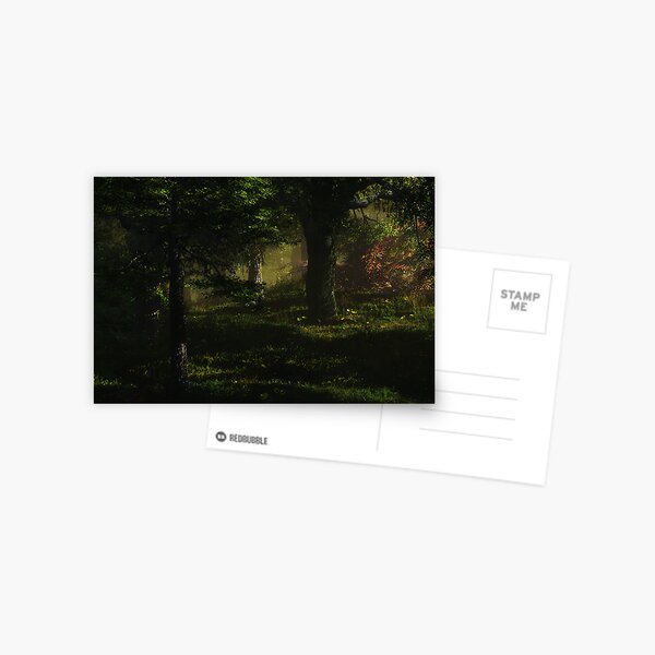 Forest Postcard