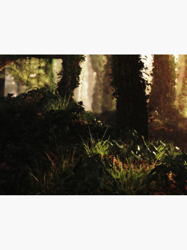 Thumbnail 2 of 2, Postcard, Sunset Forest designed and sold by FrankThomas.
