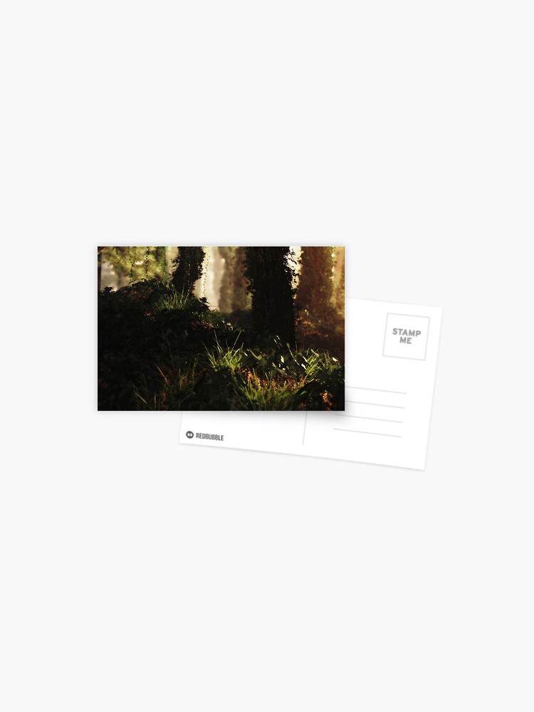 Thumbnail 1 of 2, Postcard, Sunset Forest designed and sold by FrankThomas.