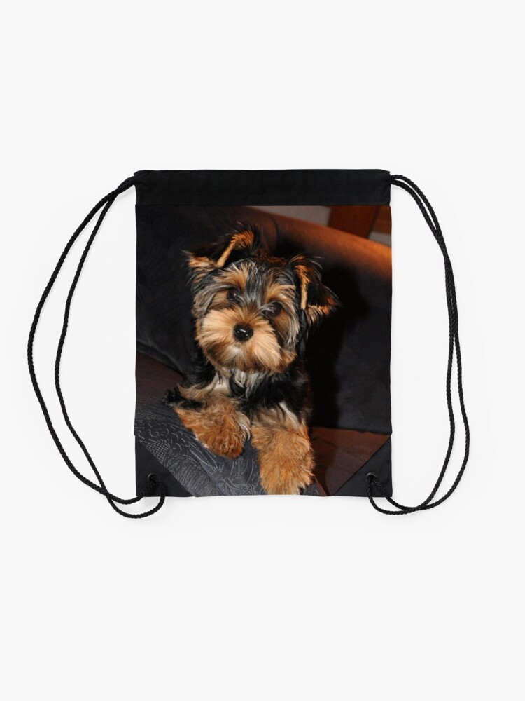 Cute Yorkie Drawstring Bag Cute Yorkie Drawstring Bag