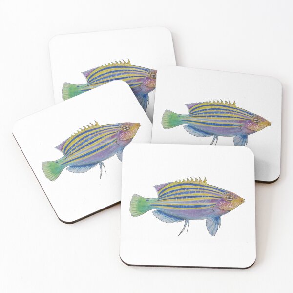Item preview, Six lined Wrasse designed and sold by Extreme Pancake Rat artistry.