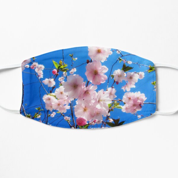 Sakura. Fresh spring flowers background. Flat Mask