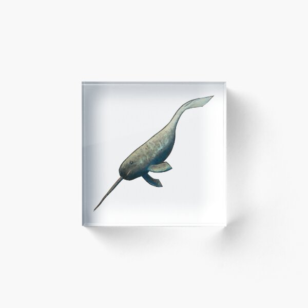 Narwhal Acrylic Block
