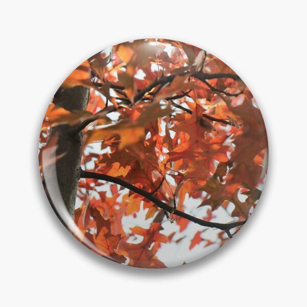 Item preview, October Orange designed and sold by RVogler.