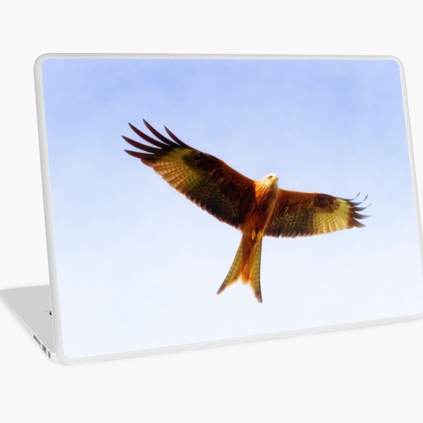 Red Kite in flight Laptop Skin