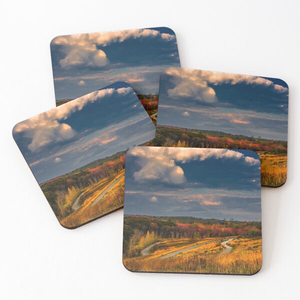 Item preview, Millennium Park, West Roxbury designed and sold by LudaNayvelt.