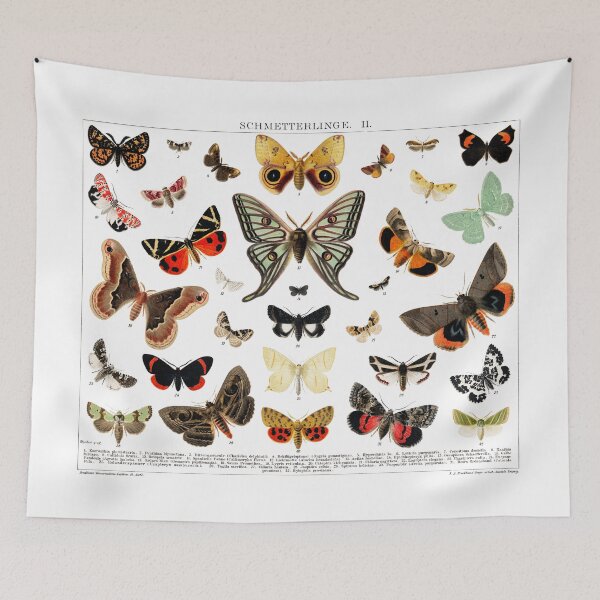 Item preview, Collection of Butterflies designed and sold by Flamin' Galah.
