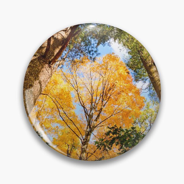 Item preview, Walpole forest designed and sold by LudaNayvelt.