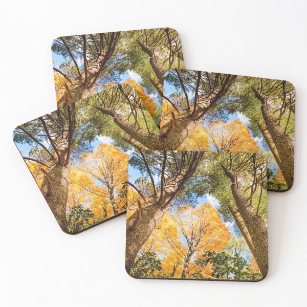 Item preview, Walpole forest designed and sold by LudaNayvelt.