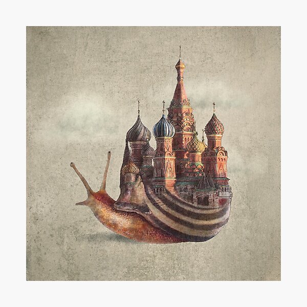 The Snail's Daydream Photographic Print